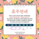 리안헤어네일 네이버블로그