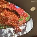북한산국립공원 숲속 태교여행 1박2일 후기☘️