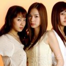 천상지희 더 그레이스 카카오 검색결과