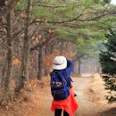 산수유 둘레길 이미지