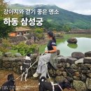 바둑이 애견 | 하동 삼성궁 애견동반 가볼만한곳 입장료 소요시간 정보