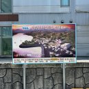 구례 애견동반 여행 추천! 지리산치즈랜드 꽃구경 후기 (+입장료) 🌼🌳✨
