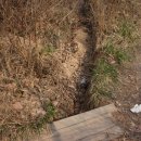 간석3동-6 이미지