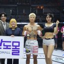 소도 이미지