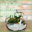 털보원예 - 은평구 통일로 850 | 강남구] 시크릿힐링원예 │ 맞춤형 원데이클래스...곳이 없다 (테라리움, 원클, 예약, 사이트, 문의, 후기)
