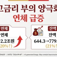 고금리시대, 부의 양극화…빚 못갚는 취약차주 확 늘었다