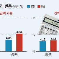 싸서 택한 주담대 변동금리, 상승폭 고정형 추월⋯커지는 차주 부담
