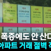 반포 매물 두 달 새 26% 급증... 강남권도 '거래 멈춤' 비상 [자막뉴스]