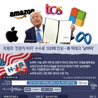 "전문직 비자 수수료 1억4000만원" 트럼프 인상에 美 19개주 소송