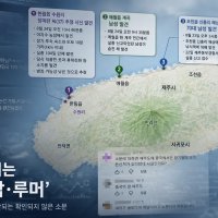 ‘장기밀매 조직’ 괴담 확산…제주, 치안 불신이 관광위기로 번졌다