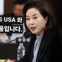 [비하인드 뉴스] 우리나라 의원인데 미국 편? 김민전의 "YES USA"