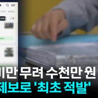 [자막뉴스] 100억 원 넘는 매물도 수두룩한데...수상한 부동산들 줄줄이 '덜미'