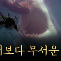 “도쿄에 강진 올 확률 70%, 대비하자”…제2의 수도 지정에 13개 도시 뛰어든 日