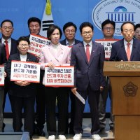 "호남 반도체 투자는 지역 차별" 국힘 TK 의원 향해 홍준표 "머리 텅빈 니들은 폼만 잡고 다녀"