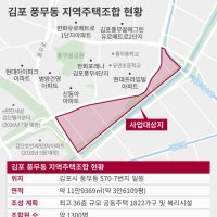 김포 풍무 지역주택조합 땅 ‘경매행’… 조합원 1인당 7000만원 피해