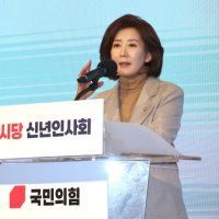 나경원, 李 정부 향해 "쿠팡 드잡이·손현보 탄압해 美 신뢰 잃어"