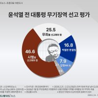 [스트레이트뉴스 여론조사] 尹, 사형 46.6% vs 무죄 25.5%…무기징역보다 '강경 처벌' 우세