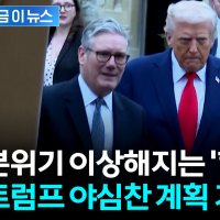 "정치 천재 아니어도 알 수 있다"...영국도 '평화위원회' 거절 [지금이뉴스]