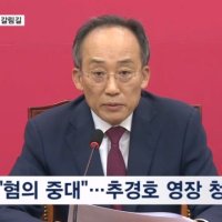 오늘 추경호 전 국민의힘 원내대표 구속 심사