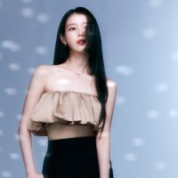 아이유, 악성 루머 발본색원-미국 연방법원까지 가