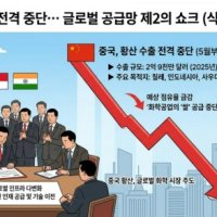 中, ‘화학공업의 쌀’ 황산 수출 중단… 글로벌 공급망 제2의 쇼크