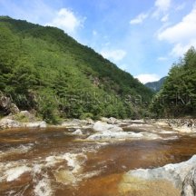 백과사전 검색결과 썸네일
