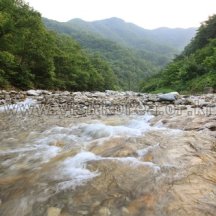 백과사전 검색결과 썸네일