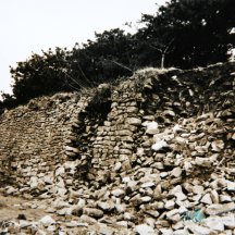 백과사전 검색결과 썸네일