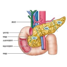 백과사전 검색결과 썸네일