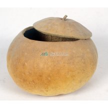 백과사전 검색결과 썸네일