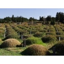 백과사전 검색결과 썸네일