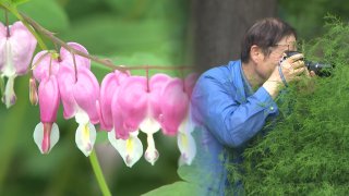 홍릉숲 전경
