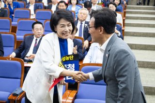 더불어민주당 관련 이미지