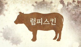 럼피스킨병 감염 소 증상