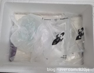 친일 매국노 후손 연예인