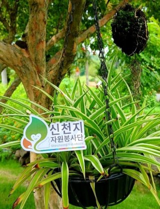 신천지 관련 뉴스 이미지