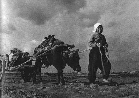 100년 전 제주도 모습