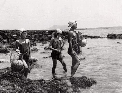 100년 전 제주도 모습