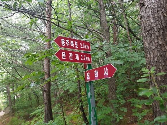동해 두타산 관음암 가는 길#동해두타산#관음암#무릉도원#은방울꽃의여행이야기