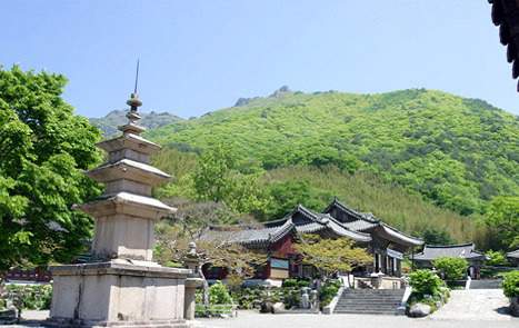 표충사