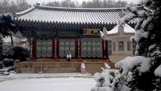 ​봉은사 <판전> 서울 유형문화재 제425호 지정