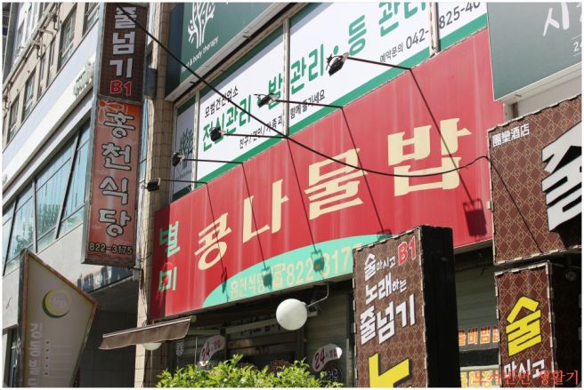 홍천식당 대전 유성구 봉명동 오래된 콩나물비빔밥 맛집