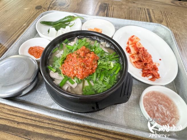 안동 노포 돼지국밥 맛집 신라국밥