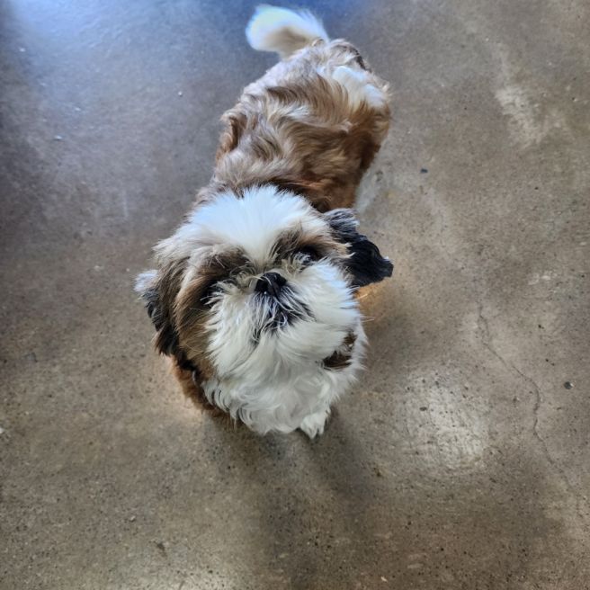 경주 성호리조트 근처 점심맛집,저녁맛집 50년전통 원조떡갈비집 단체환영,