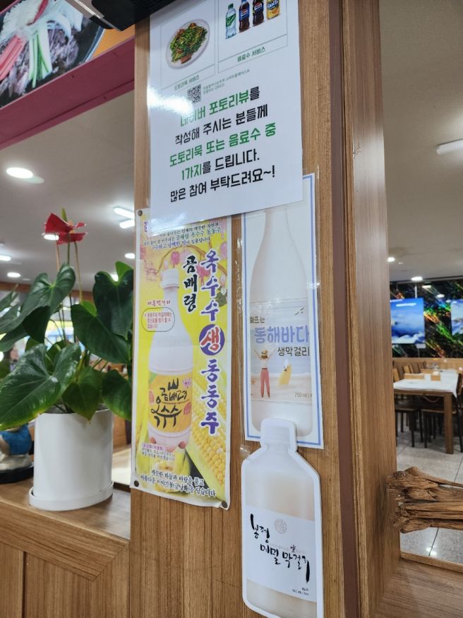 속초 순두부 맛집 비교 진솔 할머니 순두부 황태구이 후기
