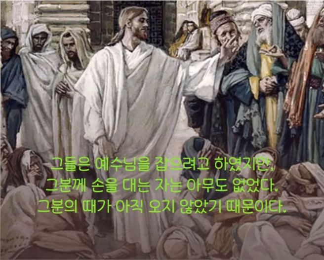 뷰어 이미지