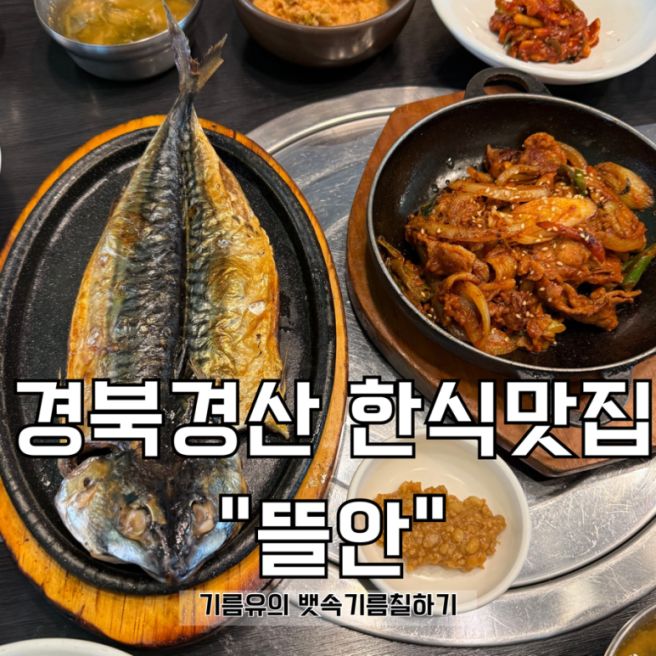 경산 영남대 쌈밥 맛집 고등어 맛집 뜰안