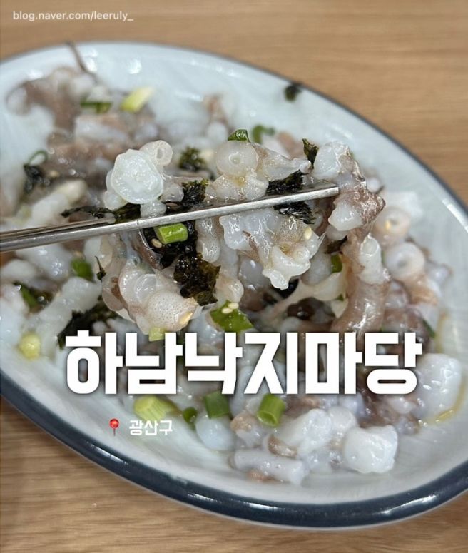[광주맛집] 하남 점심 낙지비빔밥 맛집 '하남낙지마당' | 신선하고 쫄깃한 낙지탕탕이!