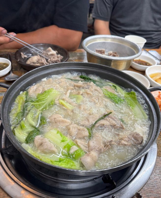 제주도민 추천 오리 한 마리 삼강식당 본점 서귀포 신시가지 맛집