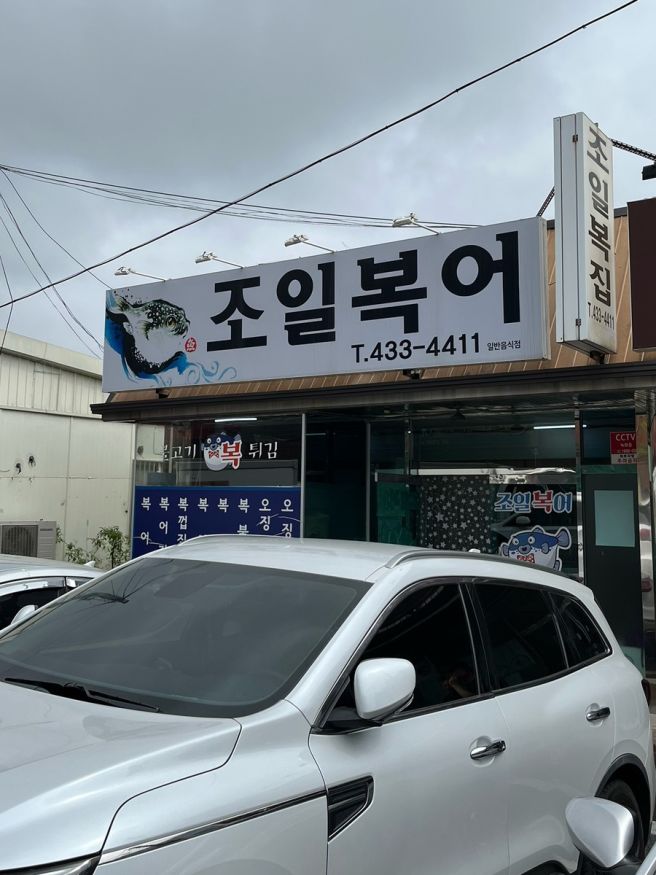 [김천 신음동] “조일복집” 복매운탕 맛집 추천 재방문 후기